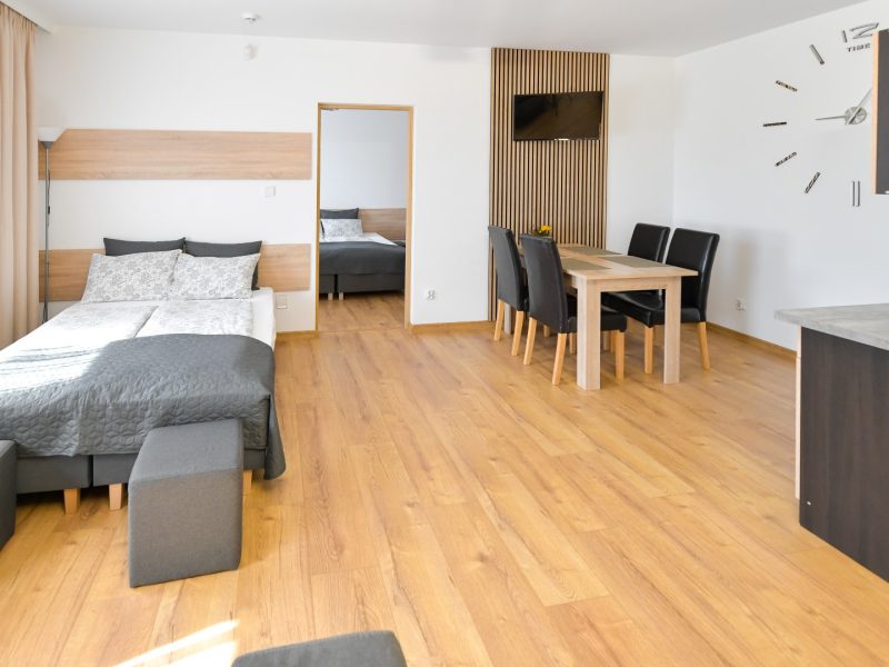 aparamenty-tilia-noclegi-zator-energylandia (101)
