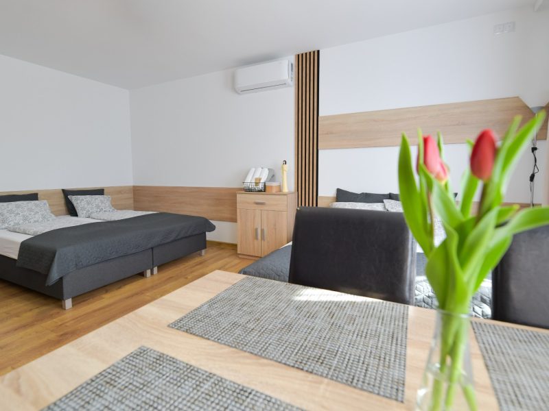 aparamenty-tilia-noclegi-zator-energylandia (37)